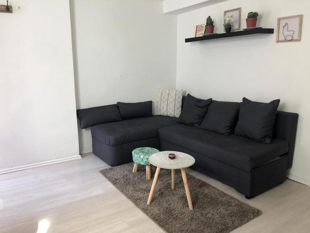 Bescheidene Untergeschoss Wohnung In Guter Lage. Köln Exteriör bild