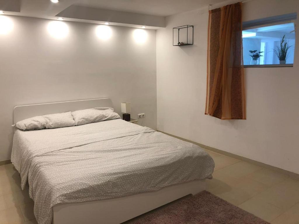 Bescheidene Untergeschoss Wohnung In Guter Lage. Köln Exteriör bild